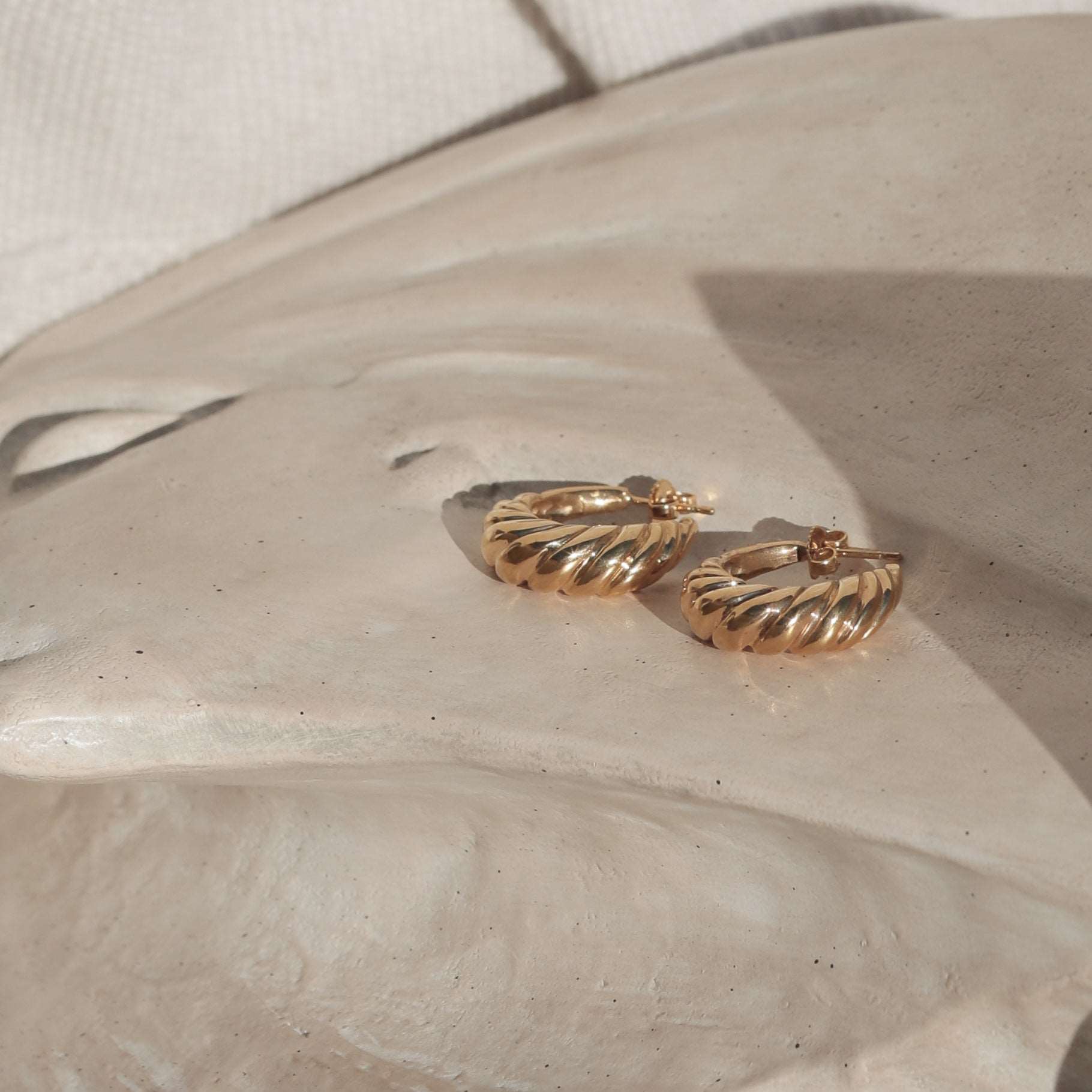 gold nautilus shell hoops earrings