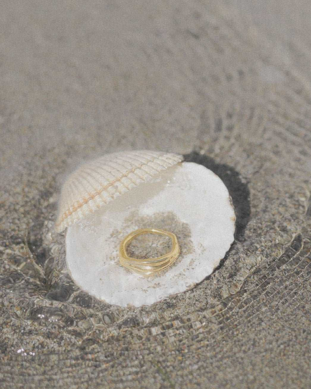 recycled gold ring in seashell