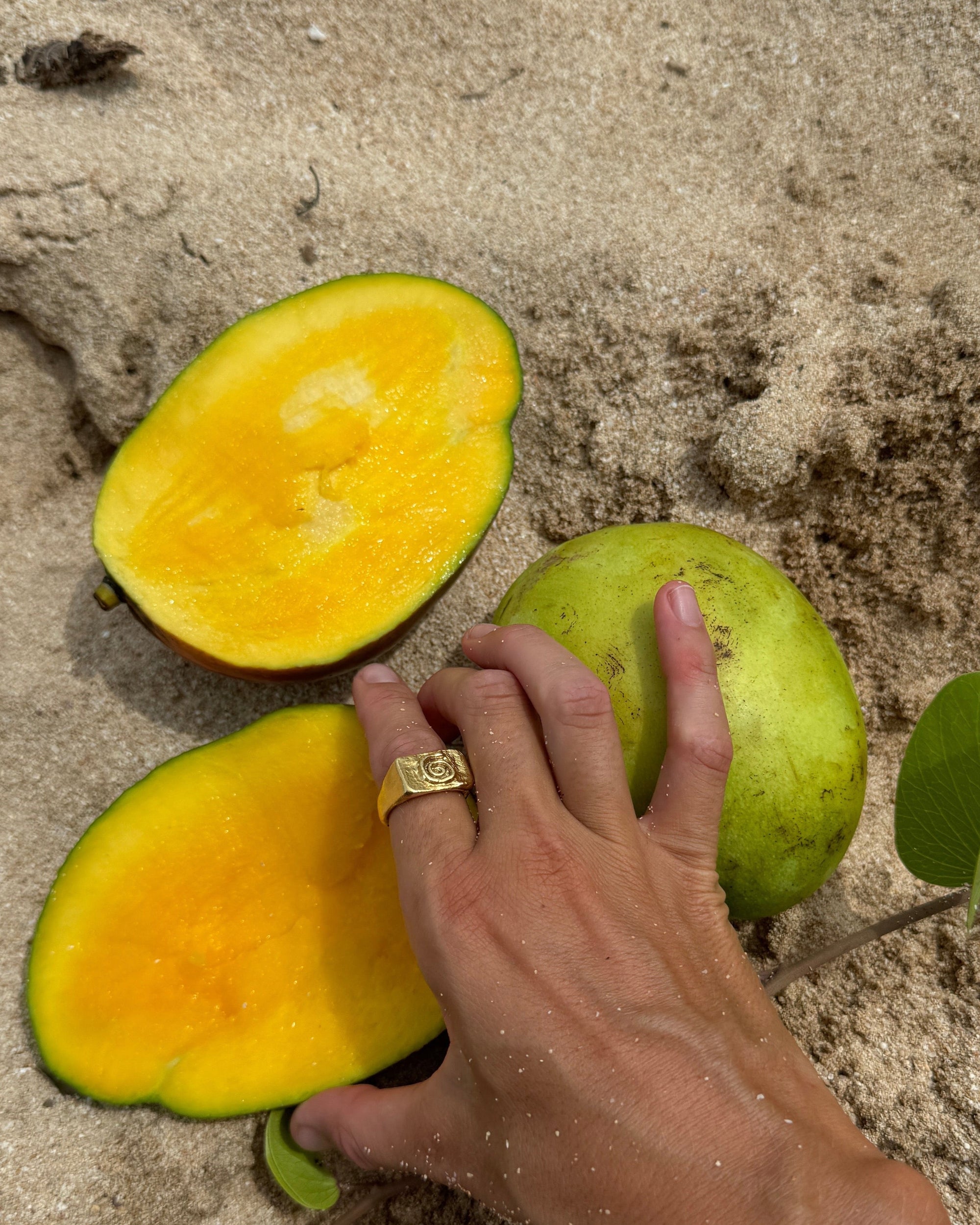 Vacation Ring