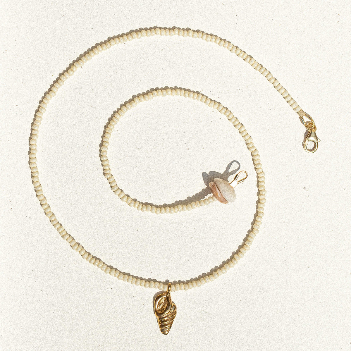 beachcomber / coconut