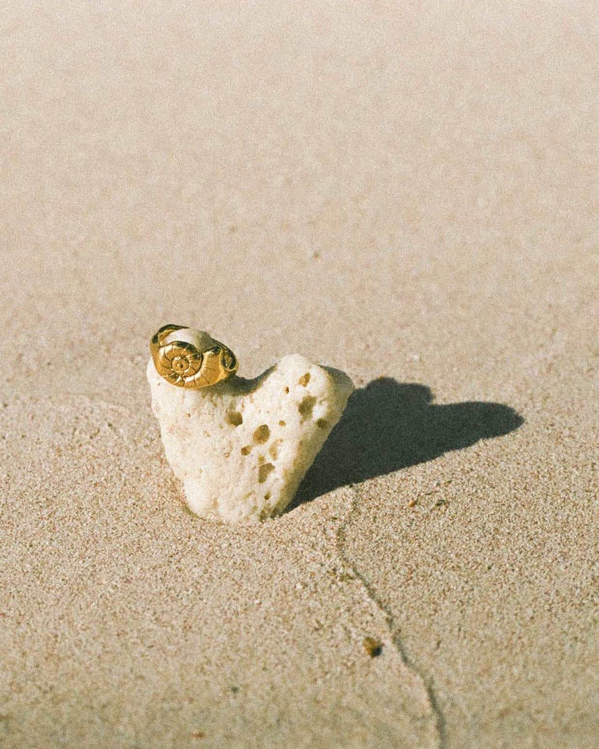we.ar the sea ring