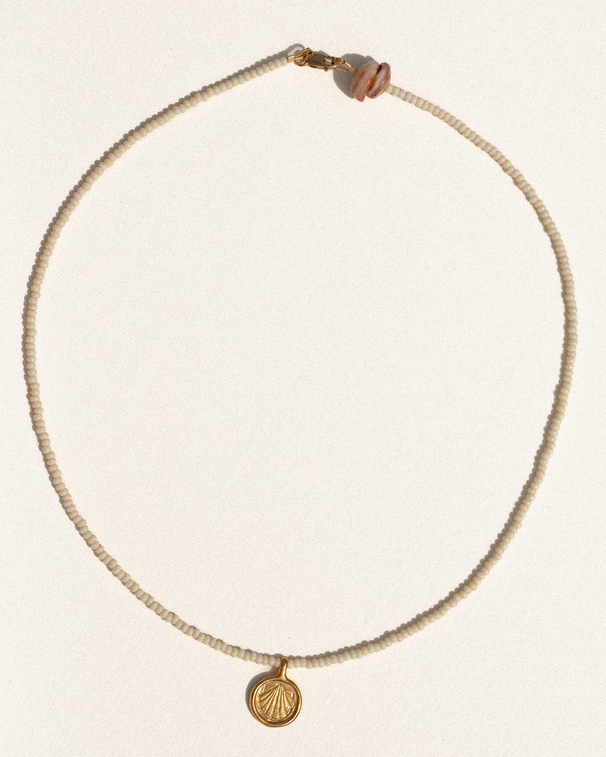 sea treasure / coconut