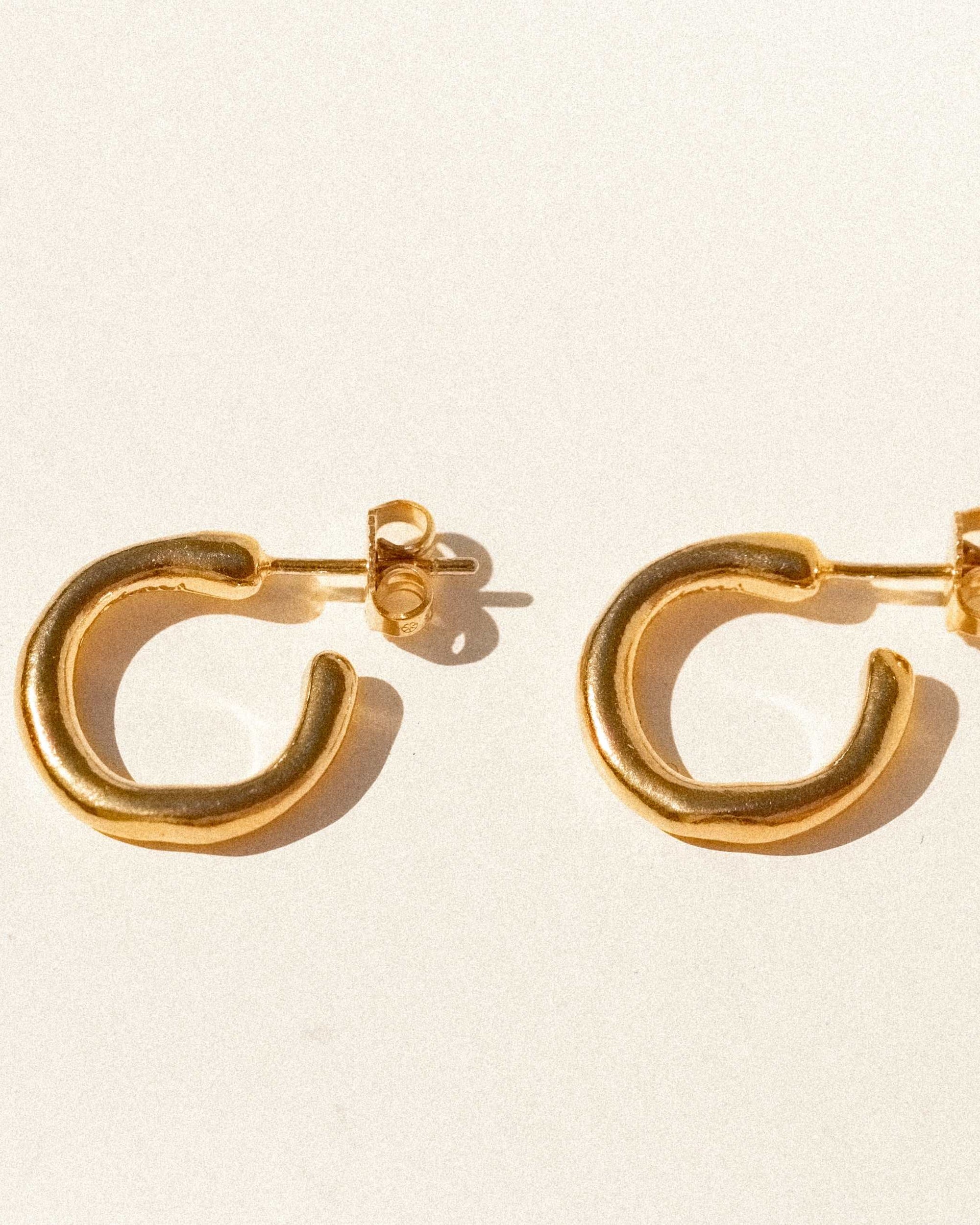 the hoops.