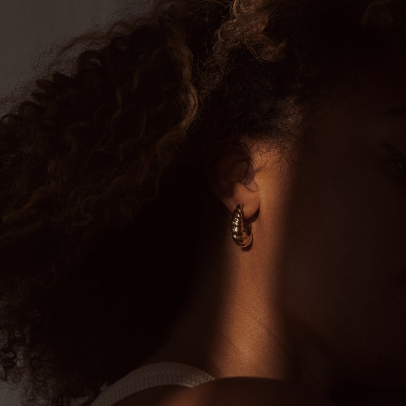 Nautilus Shell Hoops