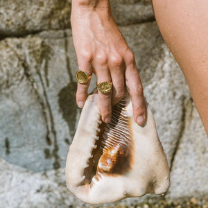 woman holding seashell with recycled gold moon ring and sun ring. photo by @oliviavandyke