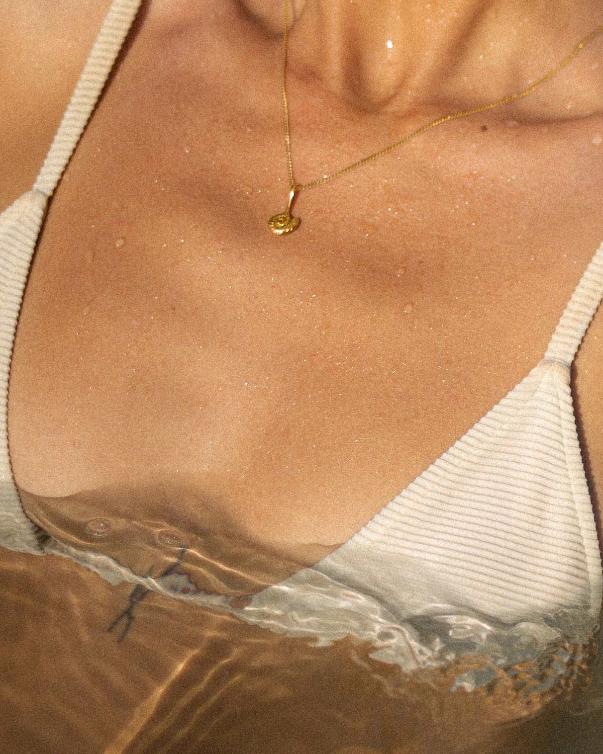 we.ar the sea necklace, sm. shell