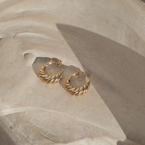 seashell hoops