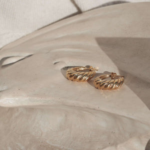 gold nautilus shell hoops earrings