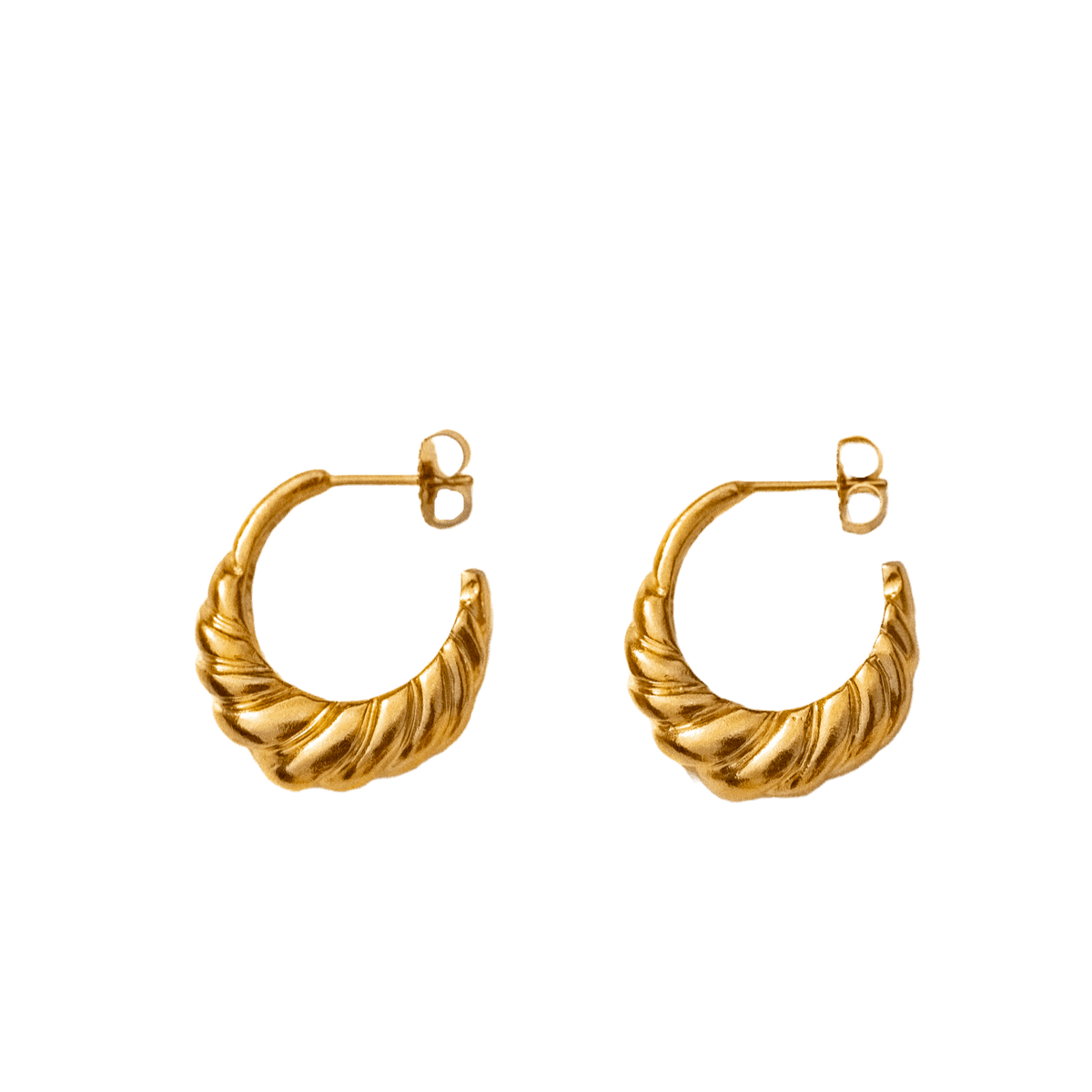 wholesale / nautilus shell hoops