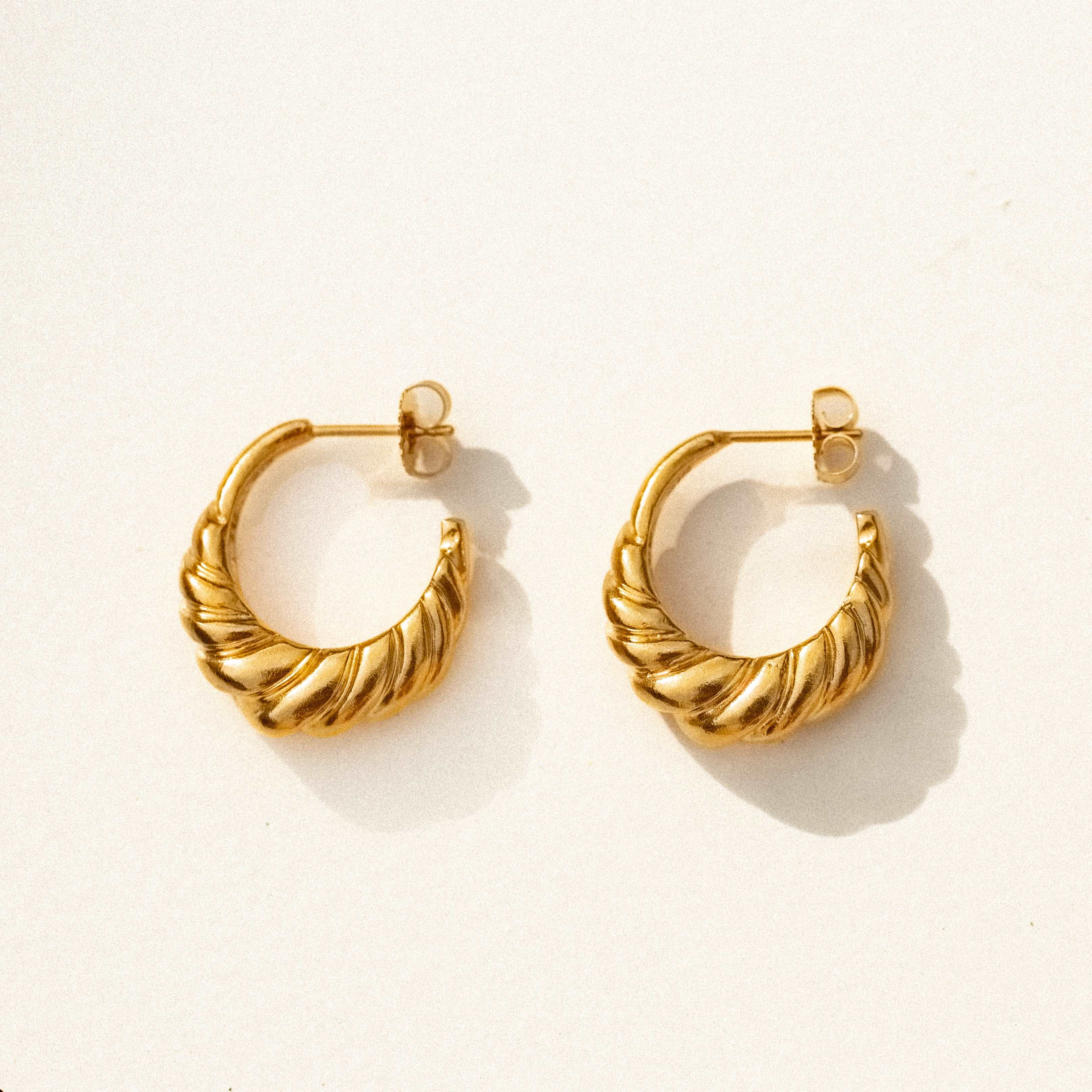 wholesale / nautilus shell hoops