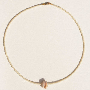 islands / coconut