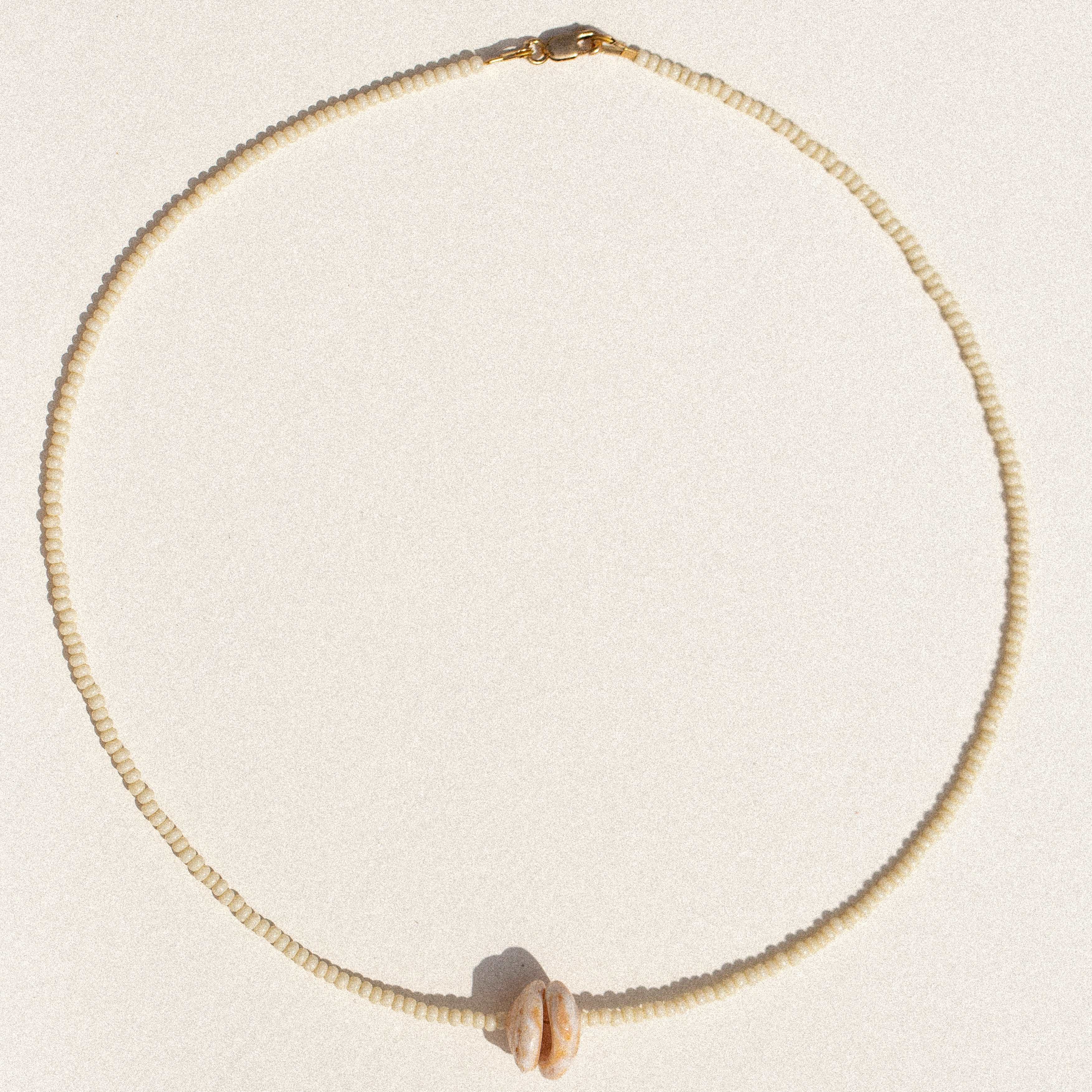 islands / coconut