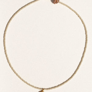 sea treasure / coconut