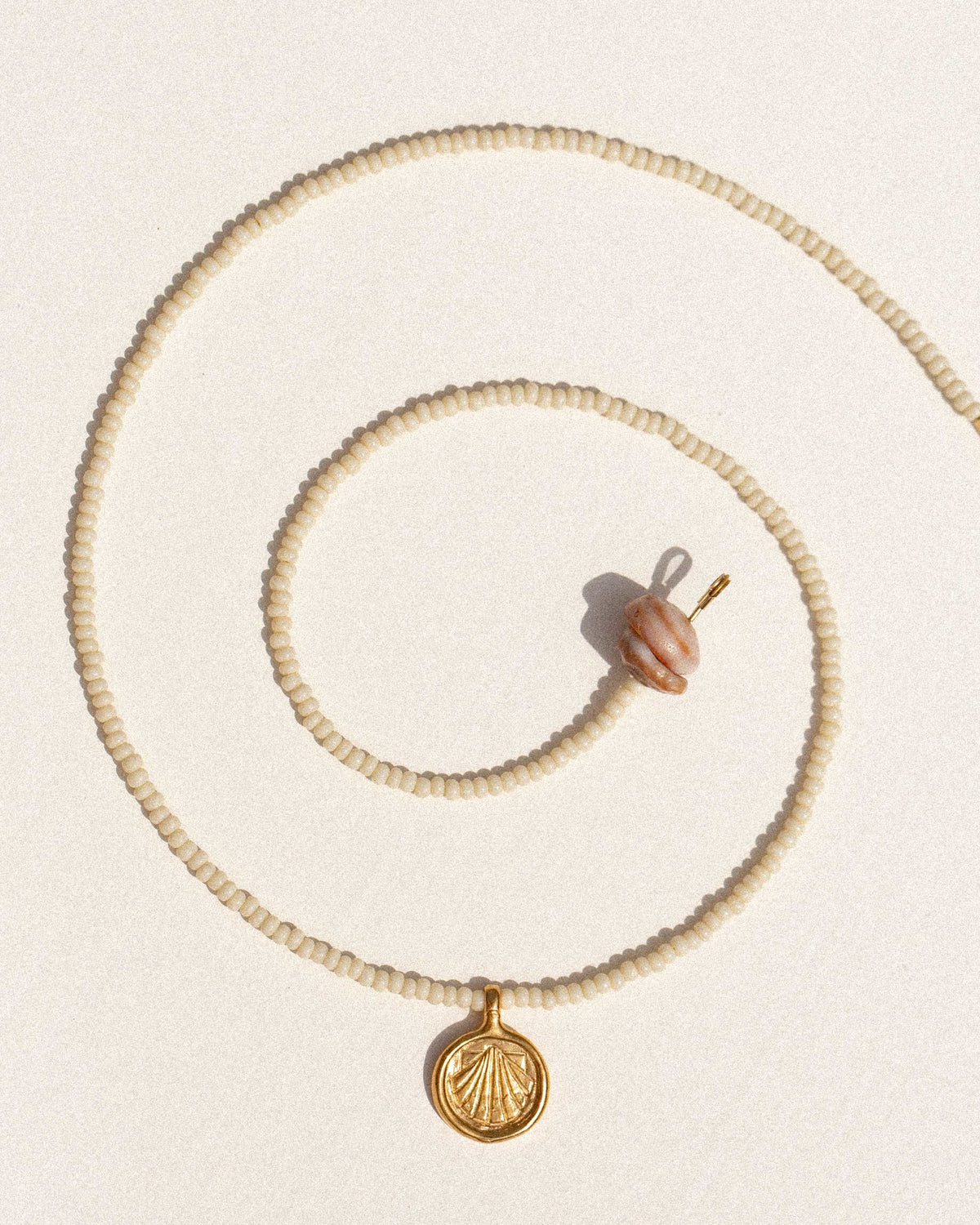 sea treasure / coconut