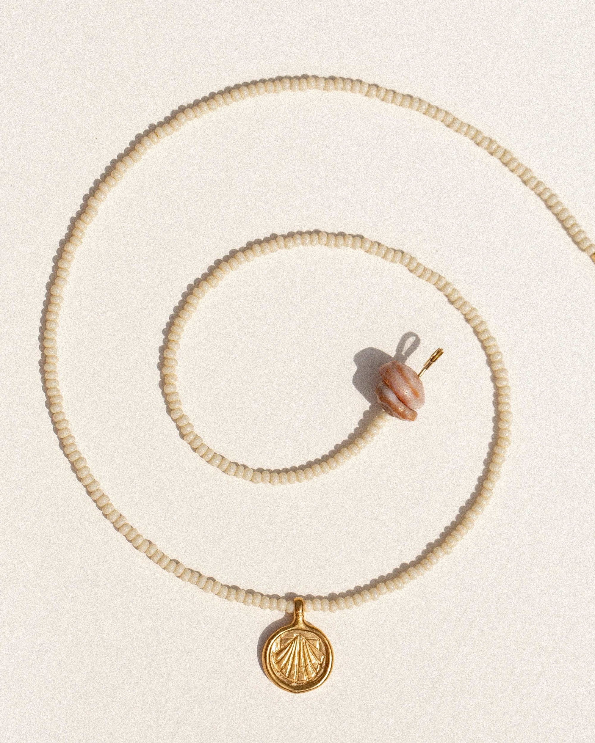 sea treasure / coconut