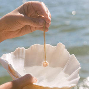 seashell  necklace
