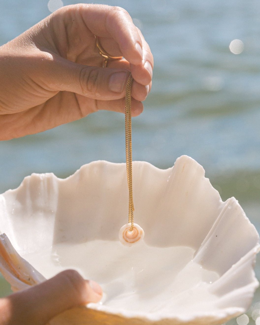seashell  necklace